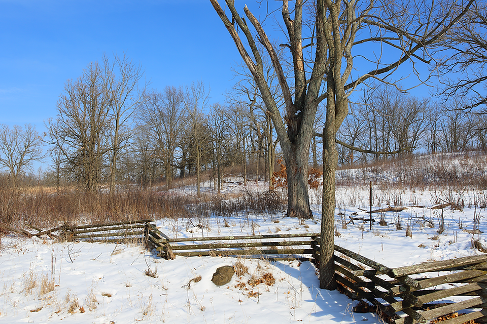 Wisconsin Nature in Winter