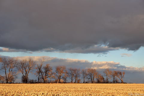Wisconsin Countryside Farmland with Field and Clouds