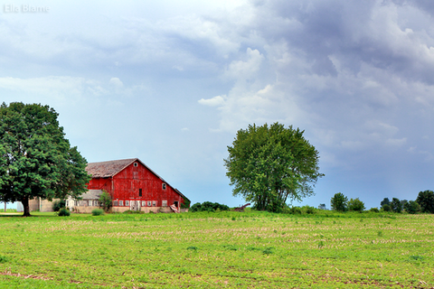 Wisconsin Countryside Landscape with Red Barn and Trees