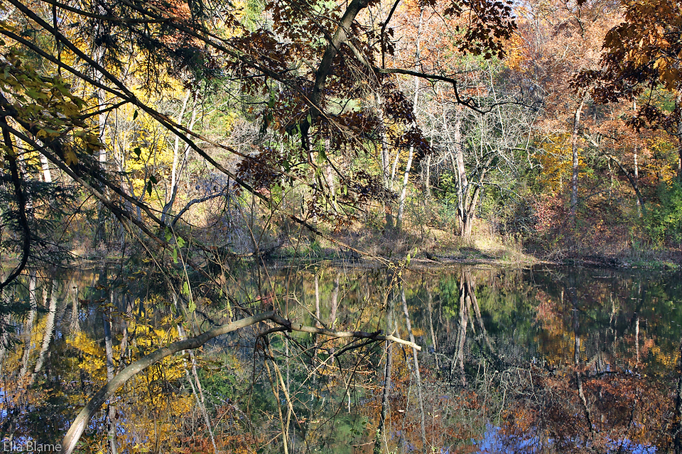 Wisconsin Autumn Nature Pond Reflections