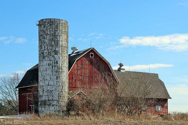 Wisconsin Winter Countryside with Red Barns