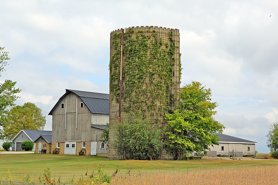 Wisconsin Farm and Clouds in September