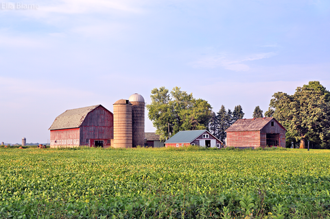 Wisconsin Countryside Farmland with Farm Buildings and Field
