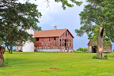 Wisconsin Countryside Landscape with Barns and Trees