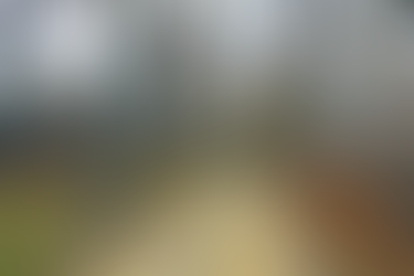 Wisconsin Nature Park Landscape with Hiking Trail and Trees