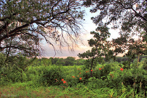 Wisconsin Nature Landscape in August