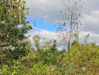 Late September