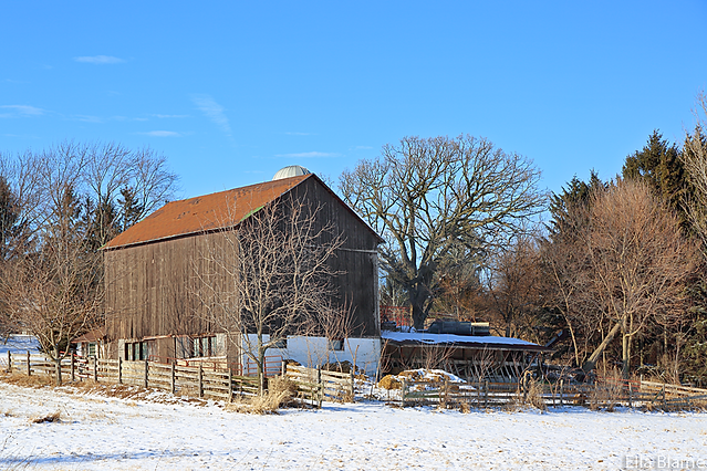 Wisconsin Winter Countryside with Barn