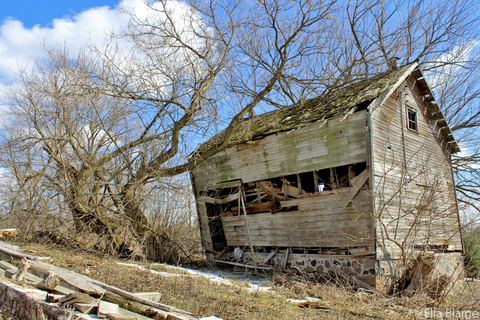 Wisconsin Countryside with Old Chicken Coop