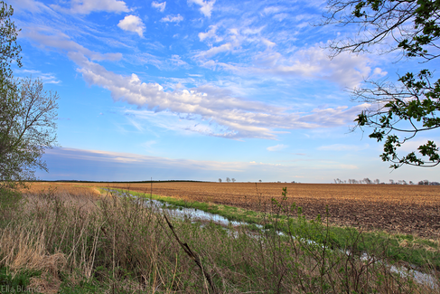 Wisconsin Farmland in May