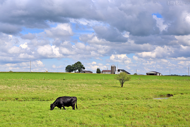 Wisconsin Countryside Landscape with Clouds in September