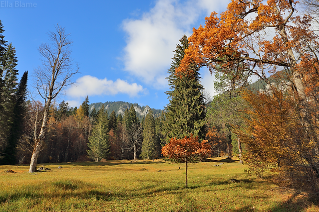 Bavaria Germany Autumn Landscape with Mountains and Trees