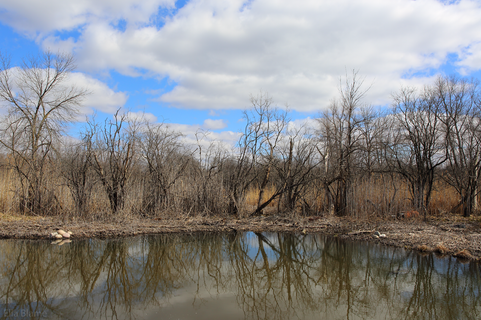 Wisconsin Nature Area with Pond and Trees