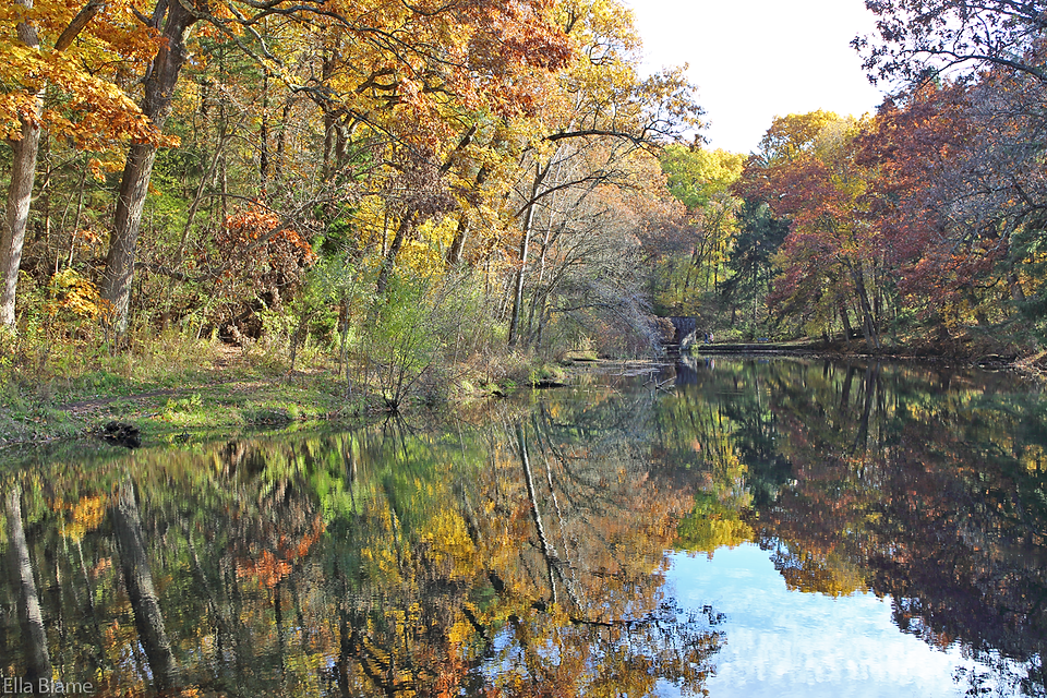 Wisconsin Nature Pond Reflections and Autumn Color Trees