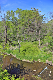 Wisconsin White River State Trail View in Spring