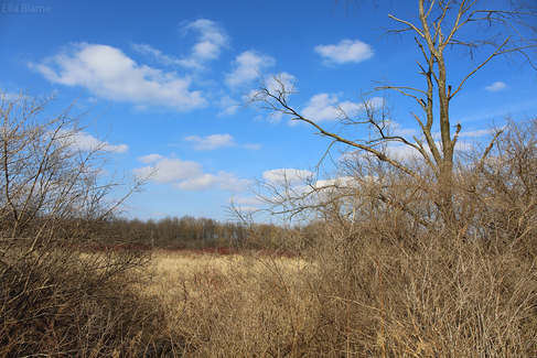 Wisconsin Landscape in March