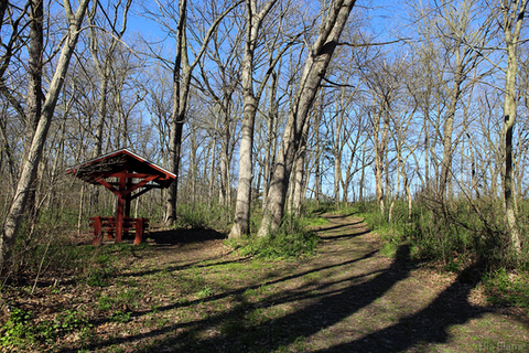 Wisconsin April Landscape Hiking Trail