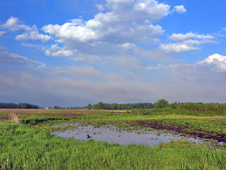 Farmland Colors