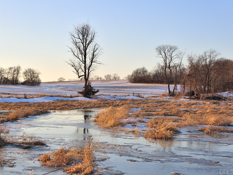 Water on the Fields