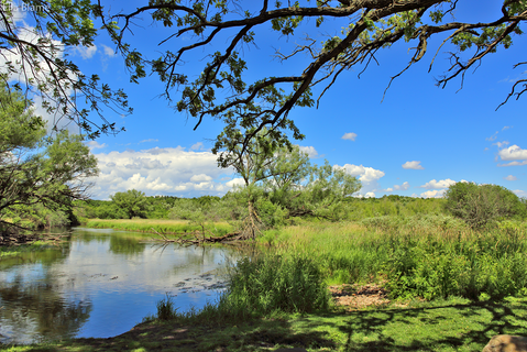 Wisconsin Landscape with Trees and Creek