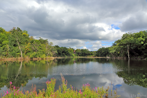 Wisconsin Pond and Trees with Clouds