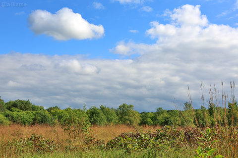 Wisconsin Nature Landscape with Clouds