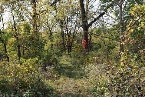 Wisconsin Hiking Trail in October