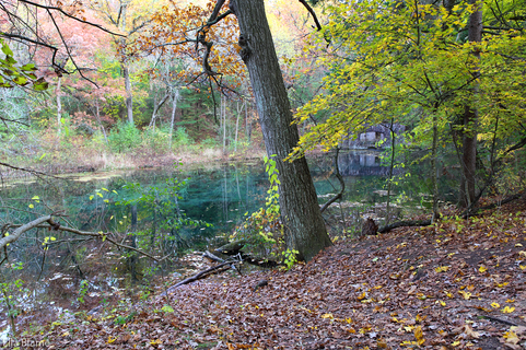 Landscape Photography by Ella Blame
