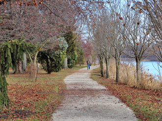 December Impressions