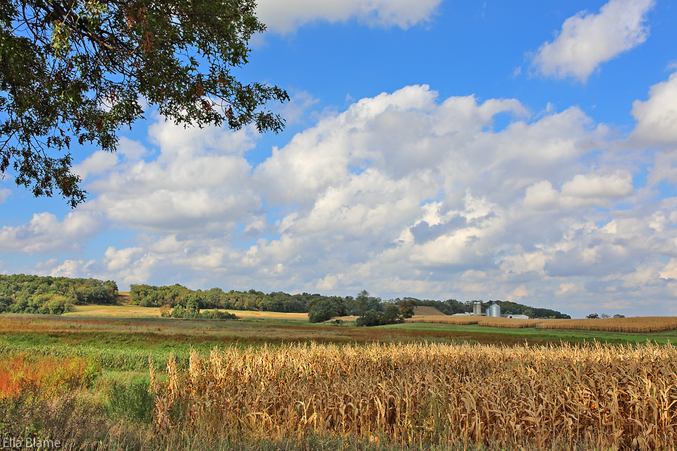 Wisconsin Farmland and Clouds in September