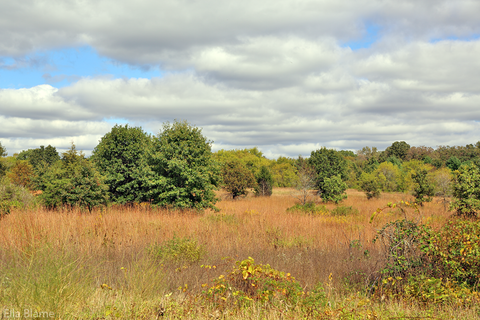 Wisconsin Nature Landscape with Clouds in September
