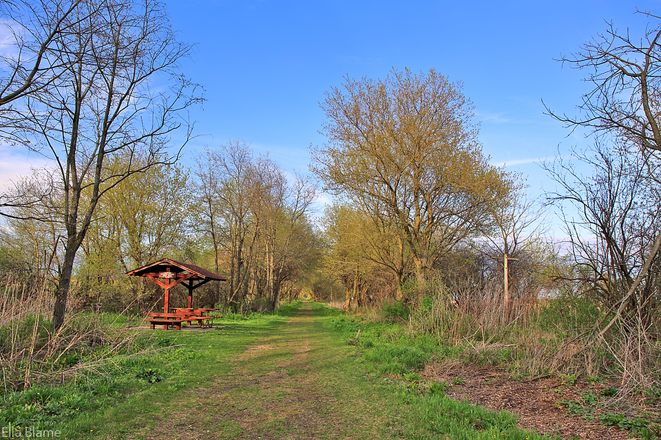 Wisconsin Hiking Trail in May