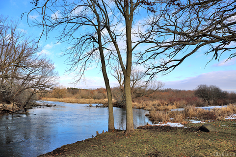 Wisconsin Nature Area with Creek in January