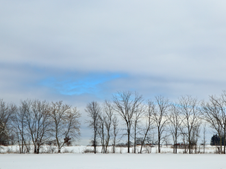 Illinois Winter Countryside