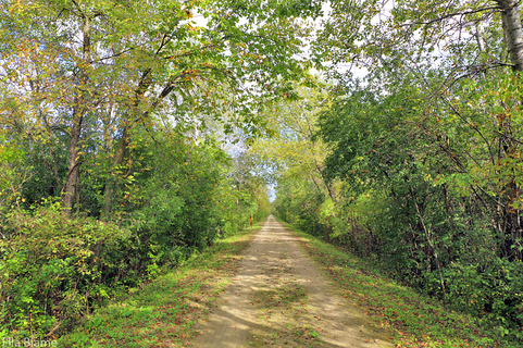 Wisconsin Nature Hiking Trail in September