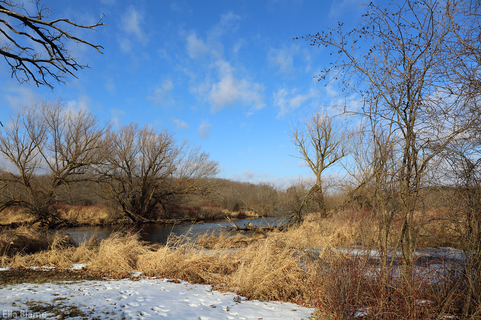 Wisconsin Nature Area with Creek in January