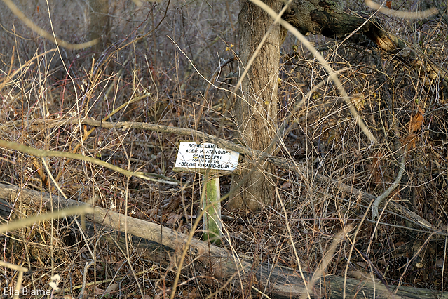 Wisconsin Nature Park Sign
