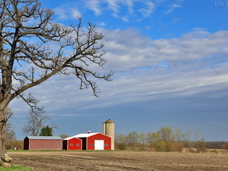 Spring Countryside