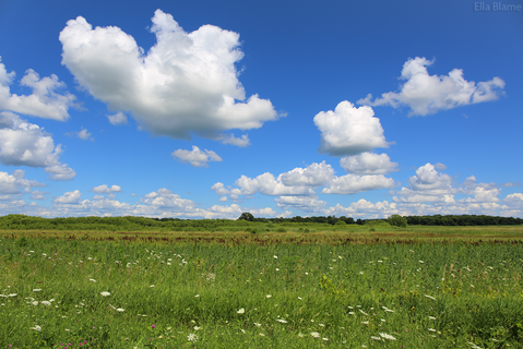 Wisconsin Countryside in July