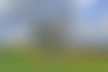 Wisconsin Countryside with Tree