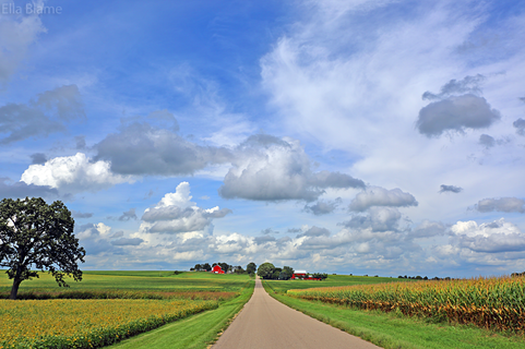 Wisconsin Farmland with Country Road and Clouds