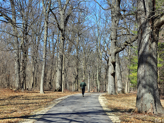 Early Spring