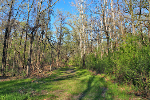 Wisconsin Hiking Trail in Spring