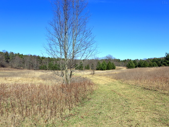 Saturday Hike