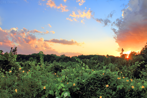 Wisconsin Nature Landscape with Sunset in August