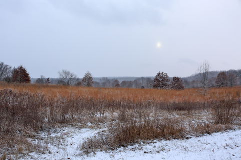 Wisconsin Nature Winter Landscape