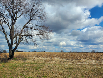 Clouds above Fields