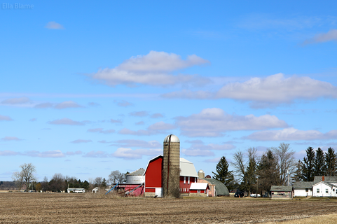 Wisconsin Farm and Field in March
