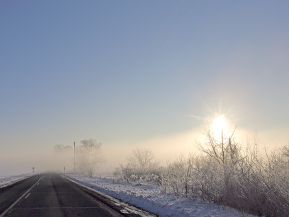 Morning Fog