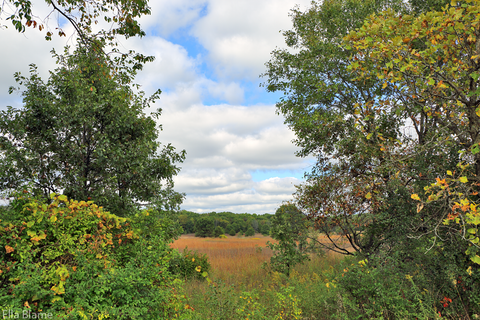 Wisconsin Nature Landscape with Clouds in September